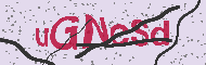 Codice captcha