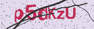 Codice captcha