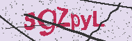 Code captcha